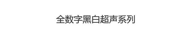 黑白超聲診斷系統